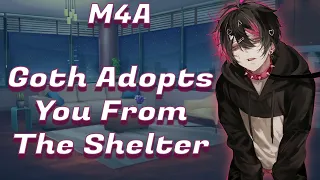 Goth Adopts You From The Shelter [Neko Listener] [M4A] ASMR Roleplay
