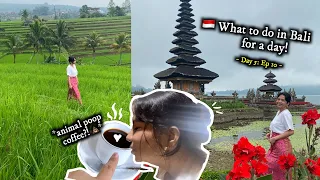 🇮🇩 Tasting the ANIMAL POOP COFFEE in Bali! 💩☕️😱 | Bali vlog day5 (ep10) | celekatour