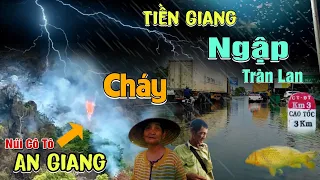 Núi Cô Tô Bốc Cháy, Đàn Mối Bay Khắp Nơi Tiền Giang Mưa Ngập Đường Dẫn Cao Tốc Sấm Chớp Liên Hồi