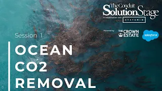 Solution Stage: Ocean CO2 Removal