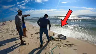 You WON'T Believe How MUCH Fish I Caught In My CAST NET Just Off The BEACH! (100lbs)