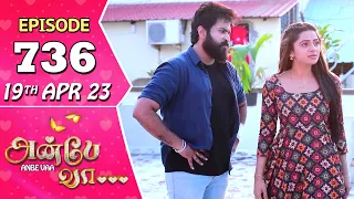 Anbe Vaa Serial | Episode 736 | 19th Apr 2023 | Virat | Delna Davis | Saregama TV Shows Tamil