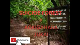 SUICIDE FOREST|AOKIGAHARA JUKAI