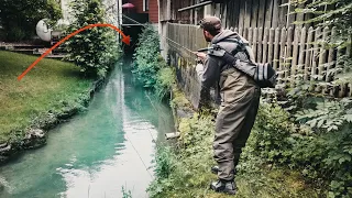 Große Fische stehen an verborgenen  Stellen - Angeln in Minigewässern!