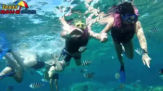 SNORKELING TRIP TO THE DOLPHIN HOUSE FROM HURGHADA