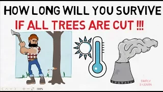 If all trees are cut down - what will happen to world - importance of trees - Simply E-learn