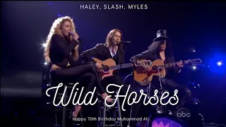 Reaction Haley Reinhart, Slash and Myles Kennedy Wild Horses