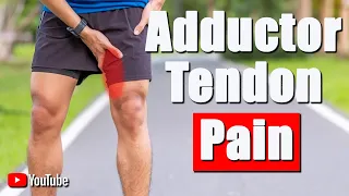 Groin/Adductor Pain, Best Treatments & Exercises for Groin Strain Pain Relief