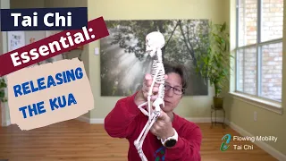 Tai Chi Essential: How to Release the Kua