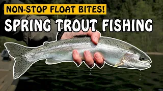 Float Fishing for Early Spring Trout at My Local Lake | Fishing with Rod