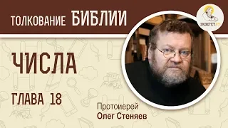 Числа, Глава 18. Протоиерей Олег Стеняев. Толкование Ветхого Завета. Книга Чисел. Толкование Библии