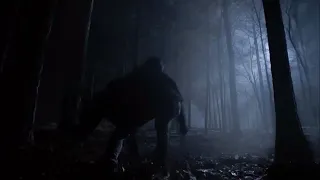 Teen Wolf 2x01 Scott come cross other wolf and fight him.