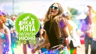 Дикая Мята 2019 | Teaser