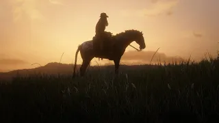 Red Dead Redemption 2 - Rare Unknown Special Tennessee Walker (best horse in RDR2 story mode)