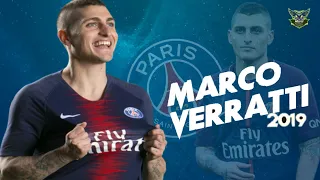 Marco Verratti●Skills & Assist●Paris Saint-Germain-2018/2019