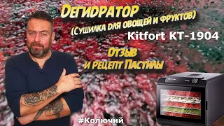 Дегидратор (сушилка для овощей и фруктов) Kitfort kt-1904 .Отзыв и рецепт пастилы.