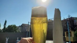 Brewing a New Zealand Pilsner