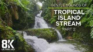 8 HOURS of Tropical Forest Stream & Gentle Birds Singing - 8K Relaxing Nature Video - Part #2