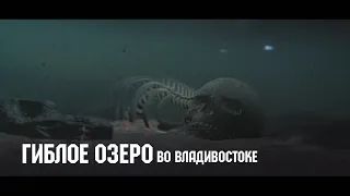 Гиблое озеро во Владивостоке/Тайны Приморья