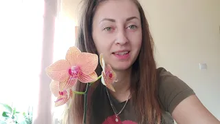 Я в ШОКЕ! Сгнили корни у #орхидеи ЭКСТРЕННЫЙ ВЫПУСК/ Обрабатываю и сажаю в КАМНИ, что буду делать