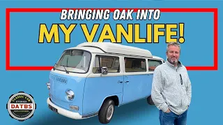 1972 Volkswagen Westfalia - Restoration and Drive!