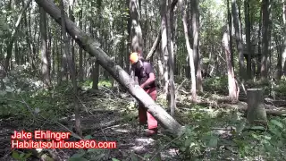 Bringing a hung tree down by blocking