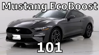 Mustang EcoBoost Equipment Options and Features. Base vs Premium (2015-2023)