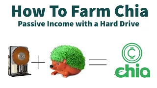 Earn Money With Your Hard Drive? How to Farm Chia Coin!