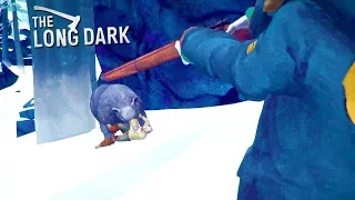 СПАСАЮ МУЖИКА ОТ МЕДВЕДЯ в -50!! - The Long Dark - Wintermute: Episode 2 / ПРОХОЖДЕНИЕ STORY MODE #5