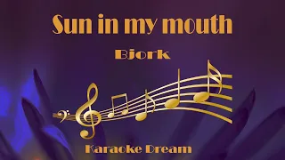 Bjork "Sun In My Mouth" Karaoke
