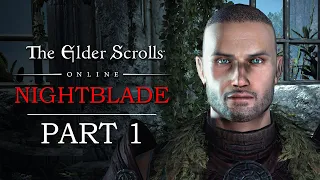 Elder Scrolls Online Playthrough | Breton Nightblade | Part 1: The Gates of Adamant