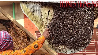 Spray video of the process of exploiting forest honey living with nature - Ep-277