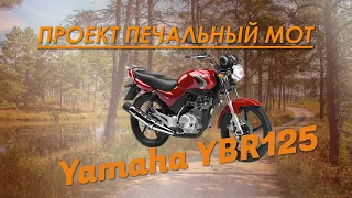 Проект "Печальный мот": Yamaha YBR 125, часть 1. Беглый осмотр и мысли.