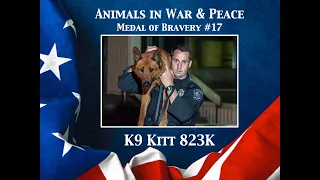 K9 Kitt 823K - Animals in War & Peace Medal of Bravery #18
