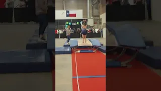 double mini level 9 gymnastics 2nd pass