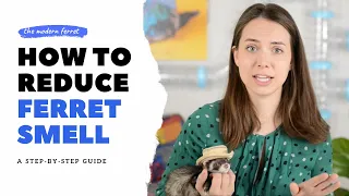 Ferret SMELL : How to FIX It!