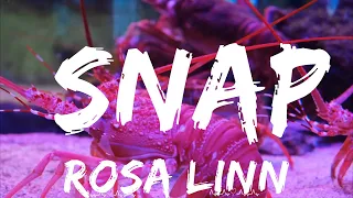 Rosa Linn - SNAP  || Soren Music