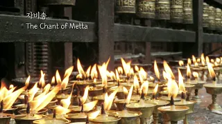 자비송  The Chant of Metta(1시간)/Imee Ooi