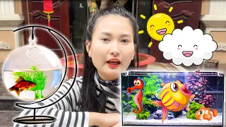 Changcady thi tài trang trí bể cá vàng, ra ngoài đồng bắt con cá, con cua