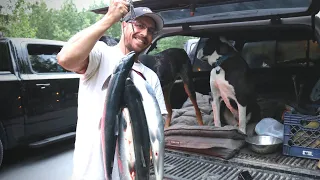 Alaska Sockeye Salmon | Russian River Fishing Trip | Catch and Cook