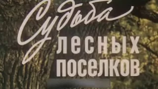 Судьба лесных поселков (СССР)