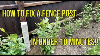 HOW TO FIX A FENCE POST IN UNDER TEN MINUTES *CHEAP & FAST*