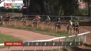 Live Hippodrome « CASABLANCA » | Courses du « 22/04/2024 »