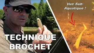 ANIMATION DES LEURRES SOUPLES POUR LE BROCHET - Cyril Chauquet