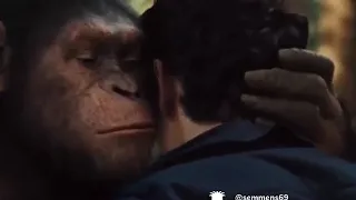 Voice over planet of the apes