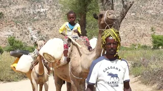 Sight is a Right │Transforming Lives in Eritrea: Access to Clean Water 🚰