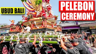 BALI RUMBLES!! PELEBON CEREMONY Puri Agung Ubud Bali | Bali Walking Tour 2023