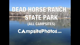 Dead Horse Ranch State Park, AZ