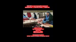 МЯСНИК на мясоперерабатывающее предприятие   г. Пагегяй, Литва, Работа в Литве