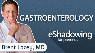 How to Become a Gastroenterologist with Brent Lacey, MD | eShadowing for Premeds Ep. 22